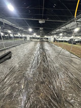 두릅나무15847님의 기타작물 · 영농일지 작성글 사진