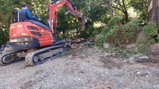 이순기님의 감 · 영농일지 작성글 사진