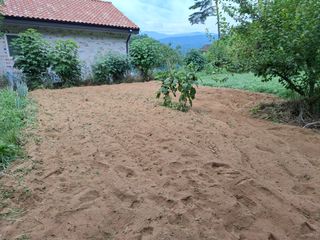 주재필님의 배추 · 영농일지 작성글 사진