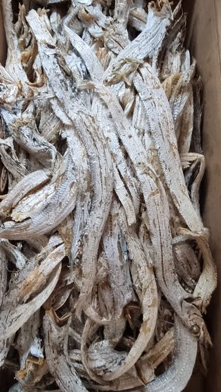 촌사리님의 기타작물 · 영농일지 작성글 사진