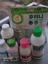 팜모닝 고추·영농일지 게시글 이미지