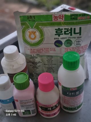 태풍한가름님의 고추 · 영농일지 작성글 사진