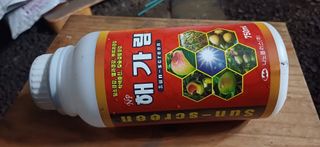 보물섬남자님의 귤 · 영농일지 작성글 사진