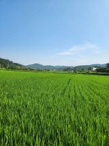 팜모닝 기타작물·영농일지 게시글 이미지