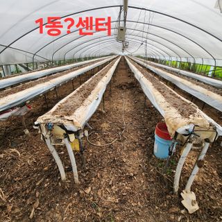 블랙조님의 기타작물 · 영농일지 작성글 사진