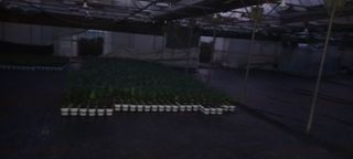 두릅나무15847님의 기타작물 · 영농일지 작성글 사진