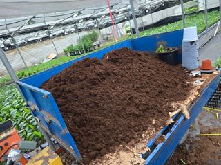 두릅나무15847님의 기타작물 · 영농일지 작성글 사진