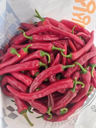 박린님의 고추 · 영농일지 작성글 사진