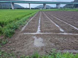 박원봉님의 콩 · 영농일지 작성글 사진