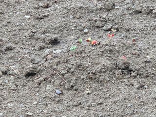 박원봉님의 콩 · 영농일지 작성글 사진