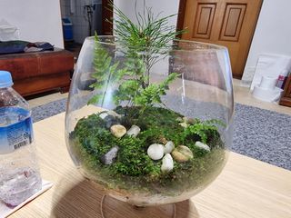 권병☆님의 들깨 · 영농일지 작성글 사진