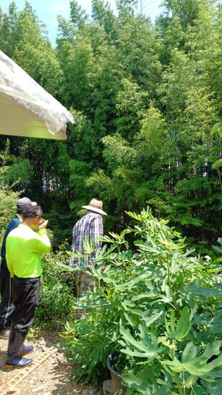 이순기님의 두릅 · 영농일지 작성글 사진