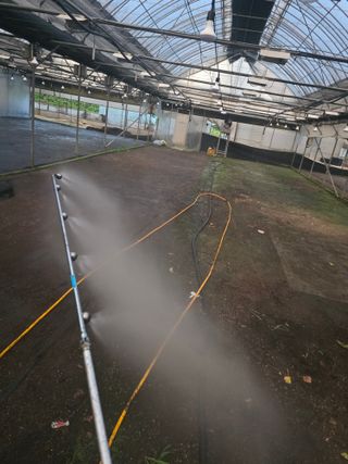 두릅나무15847님의 기타작물 · 영농일지 작성글 사진