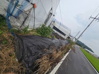 두릅나무15847님의 기타작물 · 영농일지 작성글 사진