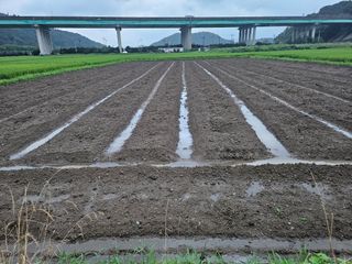 박원봉님의 콩 · 영농일지 작성글 사진