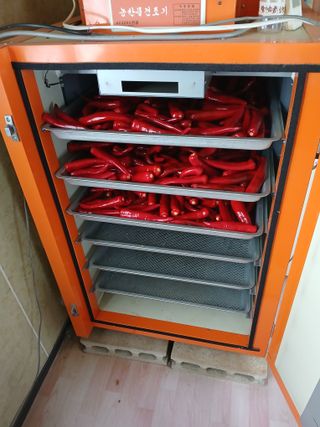 백영호님의 고추 · 영농일지 작성글 사진