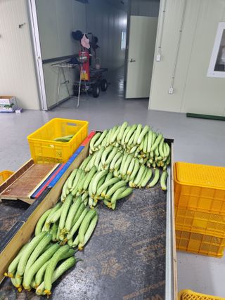 김희범님의 기타작물 · 영농일지 작성글 사진