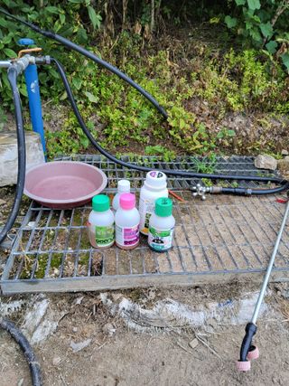 김성열님의 고추 · 영농일지 작성글 사진