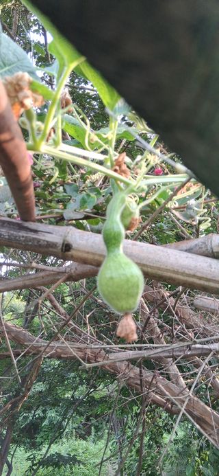 우철님의 기타작물 · 영농일지 작성글 사진