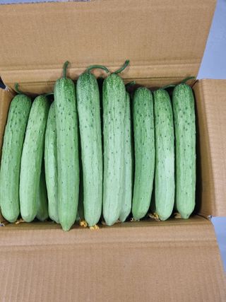 김희범님의 기타작물 · 영농일지 작성글 사진