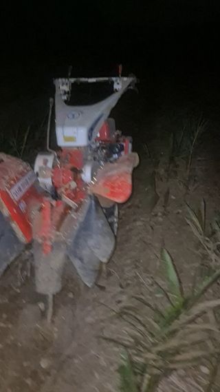 임상옥님의 기타작물 · 영농일지 작성글 사진