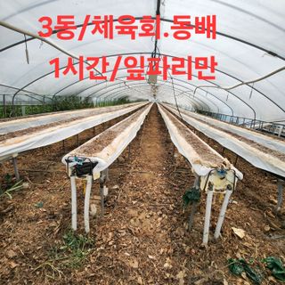 블랙조님의 기타작물 · 영농일지 작성글 사진