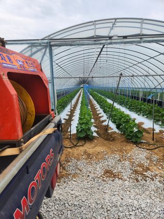 김저팔계님의 기타작물 · 영농일지 작성글 사진