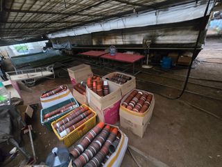 두릅나무15847님의 기타작물 · 영농일지 작성글 사진