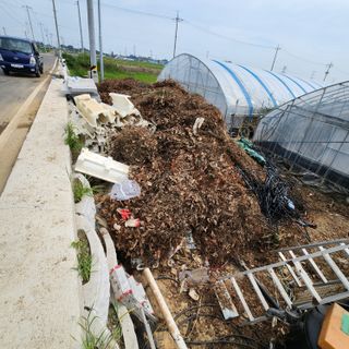 블랙조님의 기타작물 · 영농일지 작성글 사진
