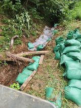 팜모닝 기타작물·영농일지 게시글 이미지