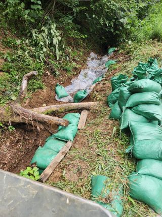 아산배방이미주님의 기타작물 · 영농일지 작성글 사진