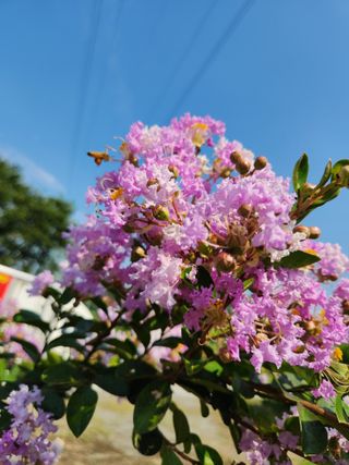 김영옥님의 기타작물 · 영농일지 작성글 사진