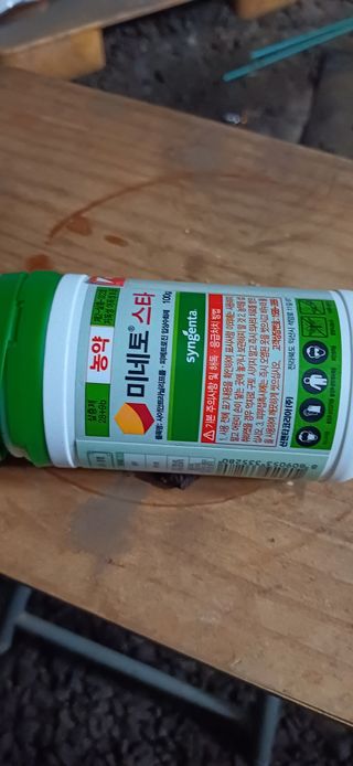 보물섬남자님의 귤 · 영농일지 작성글 사진