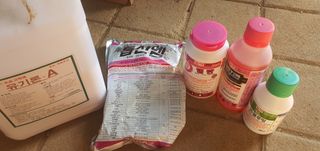 조동일님의 사과 · 영농일지 작성글 사진