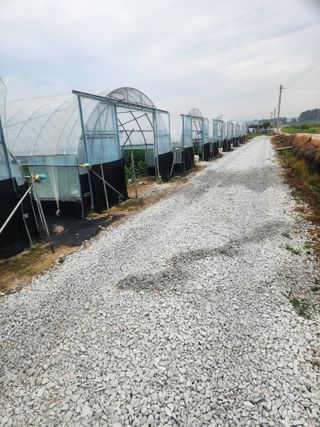 김저팔계님의 기타작물 · 영농일지 작성글 사진