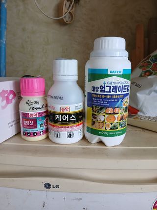 백영호님의 고추 · 영농일지 작성글 사진