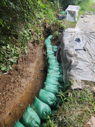 아산배방이미주님의 기타작물 · 영농일지 작성글 사진