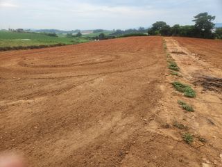 김저팔계님의 기타작물 · 영농일지 작성글 사진