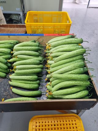 김희범님의 기타작물 · 영농일지 작성글 사진