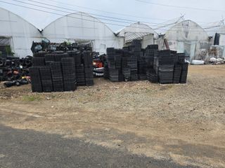 두릅나무15847님의 기타작물 · 영농일지 작성글 사진