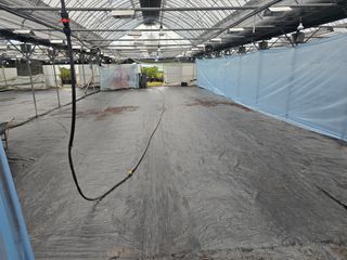 두릅나무15847님의 기타작물 · 영농일지 작성글 사진