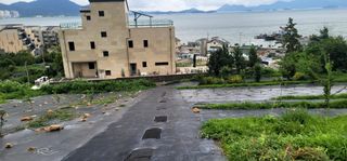 박종화님의 기타작물 · 영농일지 작성글 사진