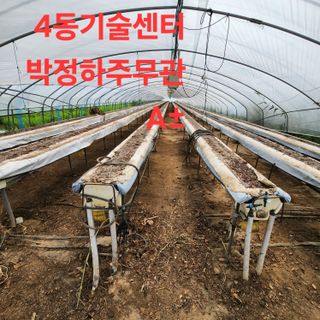 블랙조님의 기타작물 · 영농일지 작성글 사진
