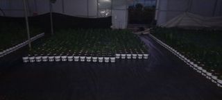 두릅나무15847님의 기타작물 · 영농일지 작성글 사진