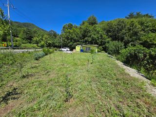 강호지인님의 기타작물 · 영농일지 작성글 사진