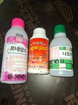 팜모닝 포도·영농일지 게시글 이미지