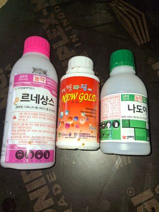 서태수님의 포도 · 영농일지 작성글 사진