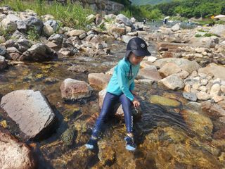 꿀복이농장님의 고추 · 영농일지 작성글 사진