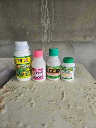 박찬엽님의 고추 · 영농일지 작성글 사진