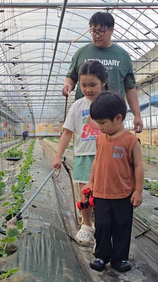 조영숙님의 오이 · 영농일지 작성글 사진